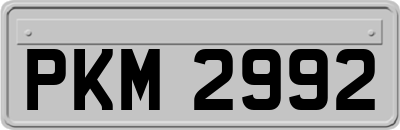 PKM2992