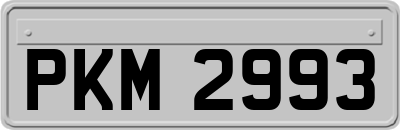 PKM2993