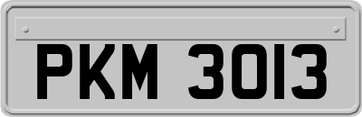 PKM3013