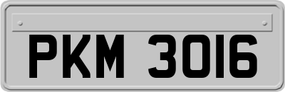 PKM3016
