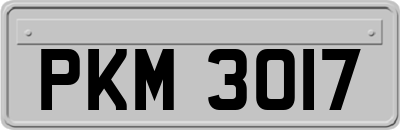 PKM3017