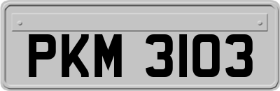PKM3103