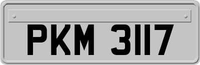 PKM3117