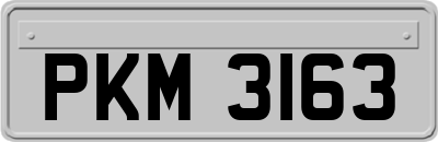 PKM3163