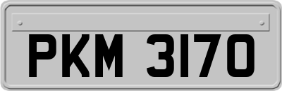 PKM3170