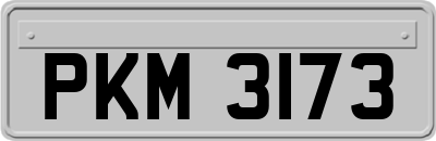 PKM3173
