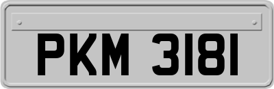 PKM3181