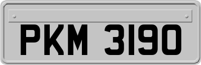 PKM3190