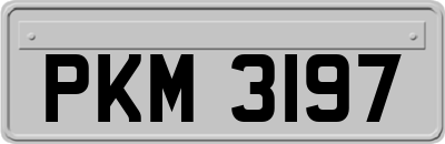 PKM3197