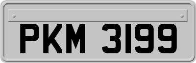 PKM3199