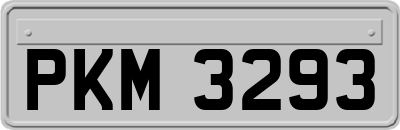 PKM3293