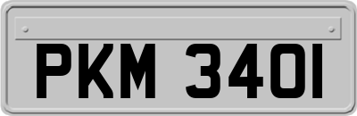 PKM3401