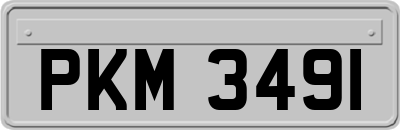 PKM3491