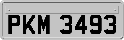 PKM3493