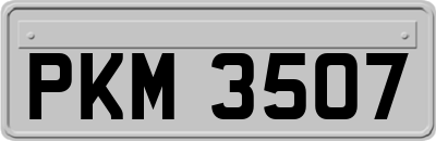 PKM3507