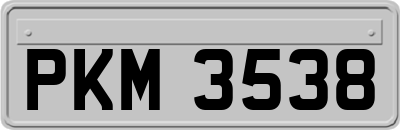PKM3538