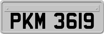 PKM3619
