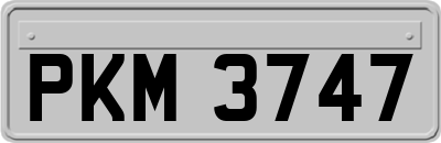 PKM3747