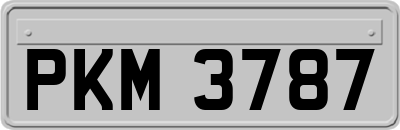 PKM3787