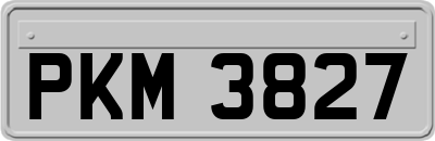PKM3827