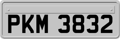 PKM3832