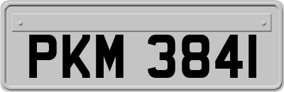 PKM3841