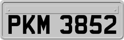 PKM3852