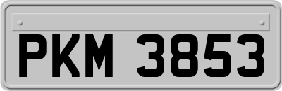 PKM3853
