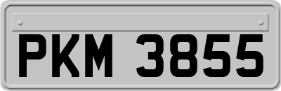 PKM3855