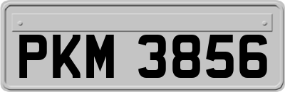 PKM3856