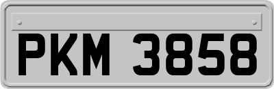 PKM3858