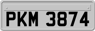 PKM3874