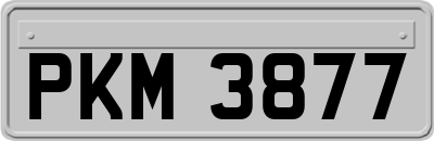 PKM3877