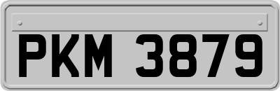 PKM3879