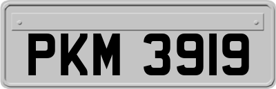 PKM3919