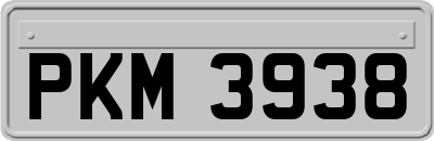 PKM3938