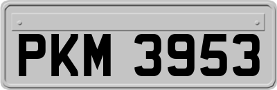 PKM3953