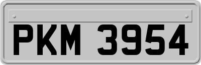 PKM3954