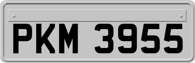 PKM3955