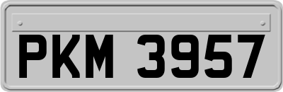 PKM3957