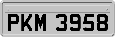 PKM3958