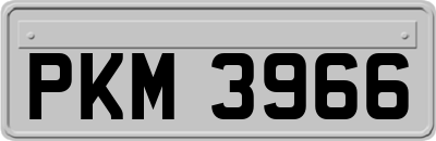 PKM3966