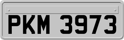 PKM3973