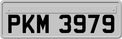 PKM3979