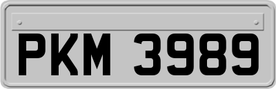 PKM3989