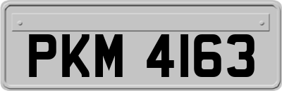 PKM4163