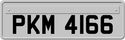 PKM4166