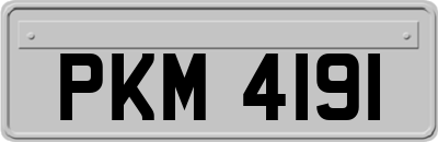 PKM4191