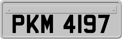 PKM4197