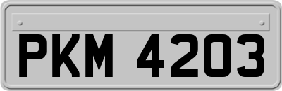 PKM4203